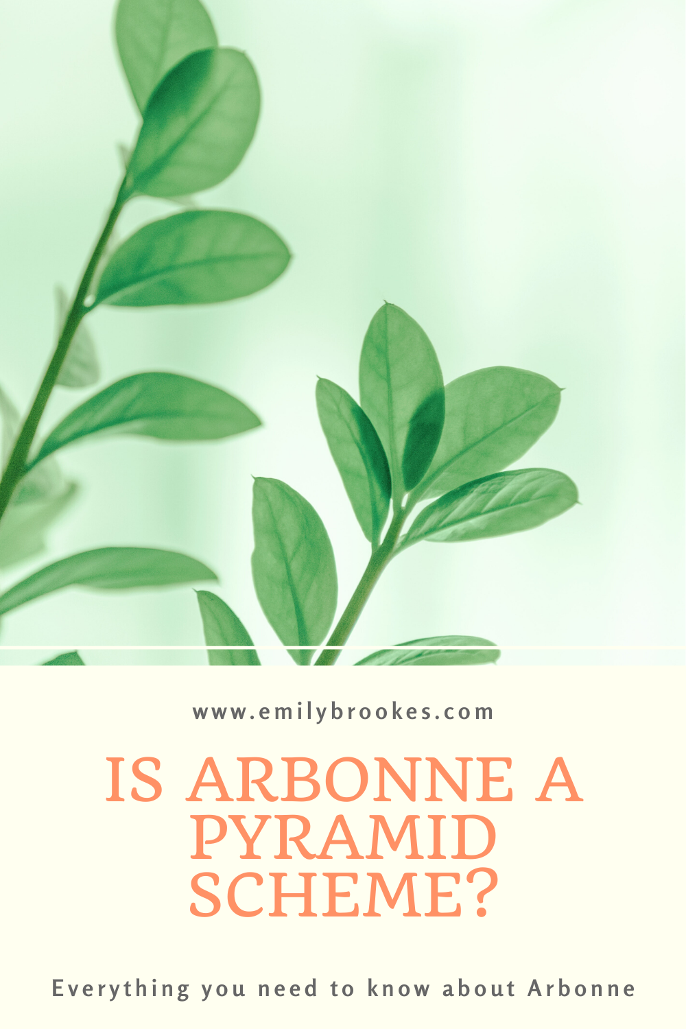 is arbonne a pyramid scheme?